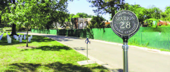 Section 28 of the cemetery and the Vietnam War Memorial Tree